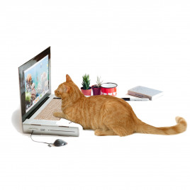 Cattop – Laptop krabpaal voor de kat 