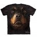 Big Face dieren T-shirts - Rottweiler